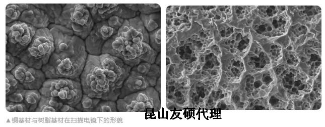 广西蔡司广西扫描电镜