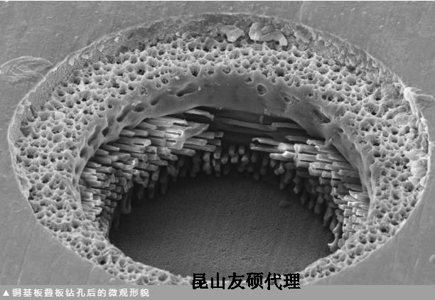 广西蔡司广西扫描电镜